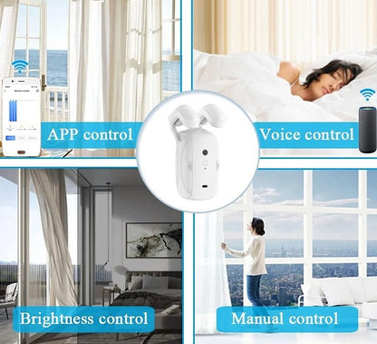 Smart Curtain Robot